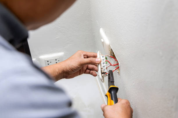 Best Outdoor Lighting Installation  in Saukville, WI